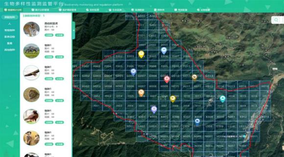 生物多样性监测监管平台 