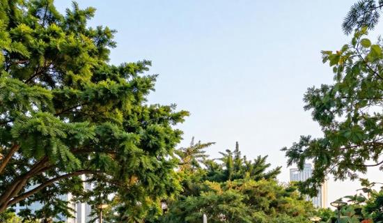 工业物联网IOT大数据云平台 构建可持续的现代化工业治理体系 工业物联网IOT大数据云平台 构建可持续的现代化工业治理体系